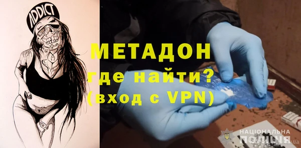 прущие грибы Богданович