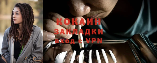 ПСИЛОЦИБИНОВЫЕ ГРИБЫ Аркадак