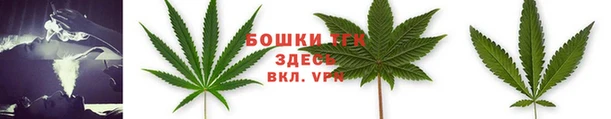 ПСИЛОЦИБИНОВЫЕ ГРИБЫ Аркадак