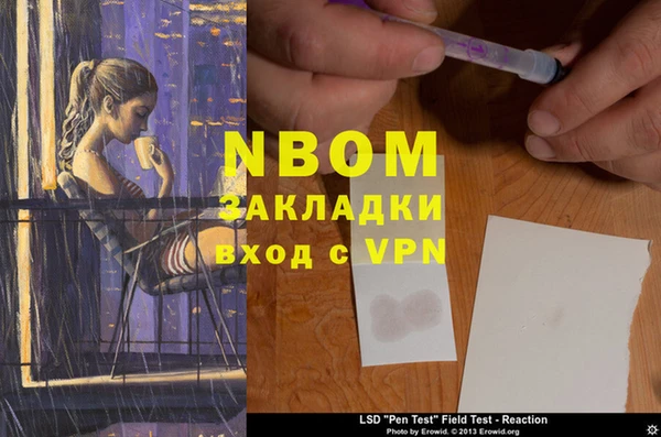 ПСИЛОЦИБИНОВЫЕ ГРИБЫ Аркадак
