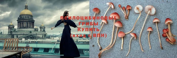 СК Арсеньев