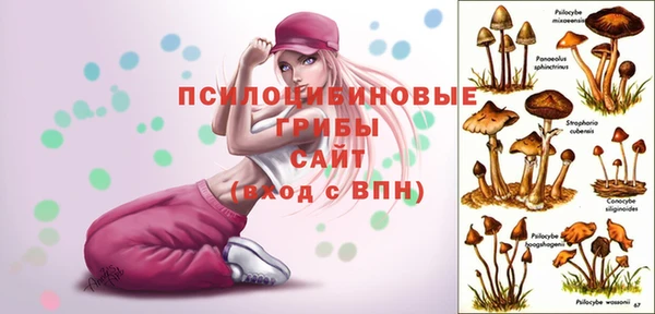 ПСИЛОЦИБИНОВЫЕ ГРИБЫ Аркадак